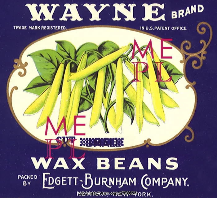  : Cut Wax Beans Label