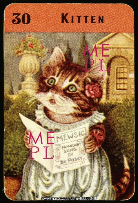  : Cute kitten singing Mewsic