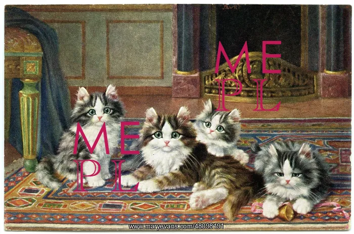  : Cute kittens on a patterned rug