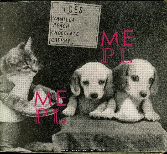  : Cute Puppies: Ices
