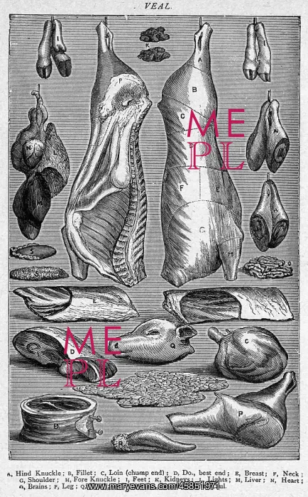  : CUTS OF VEAL