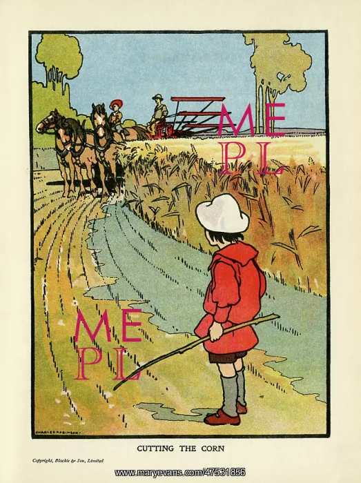: Cutting the Corn : Cutting the Corn