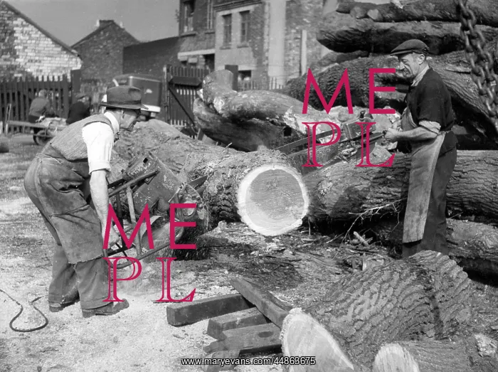 : CUTTING HUGE LOGS : CUTTING HUGE LOGS