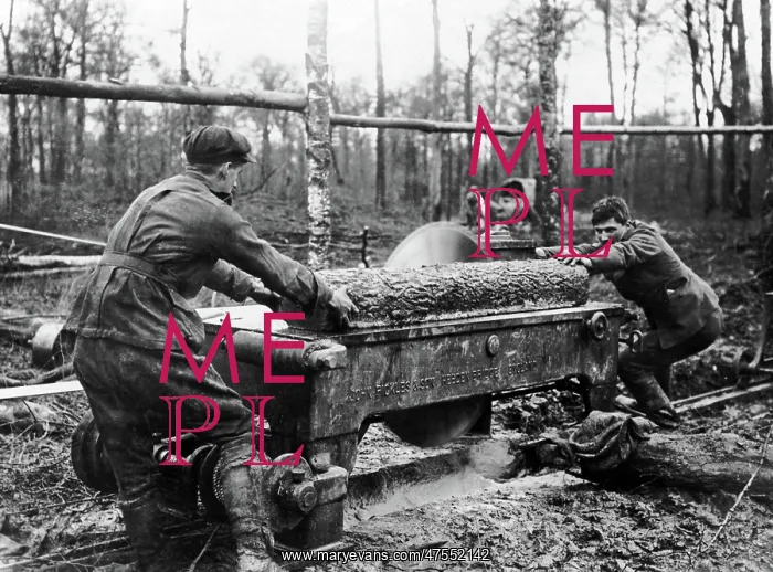 : Cutting log at new sawmill, Western Front, WW1 : Cutting log at new sawmill, Western Front, WW1
