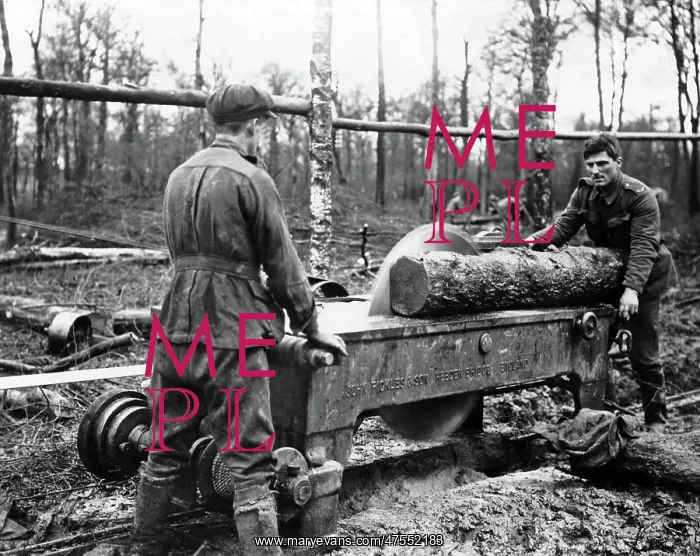 : Cutting log at new sawmill, Western Front, WW1 : Cutting log at new sawmill, Western Front, WW1