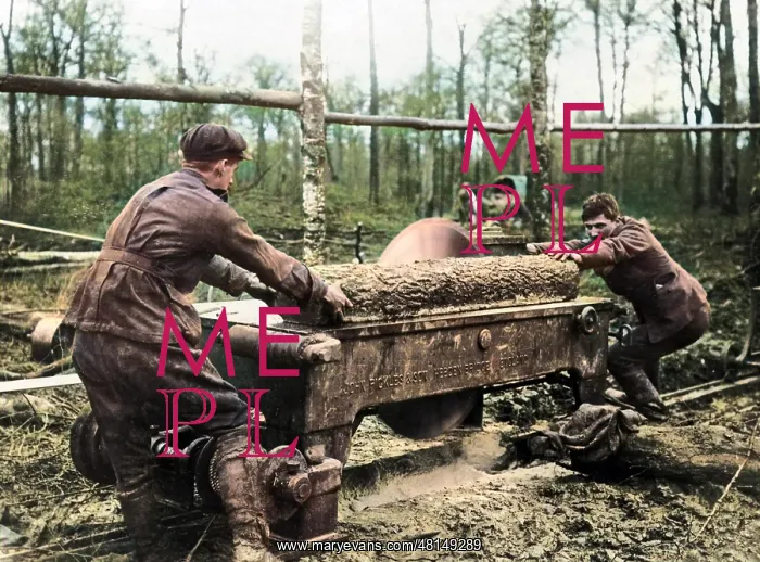 : Cutting log at new sawmill, Western Front, WW1 : Cutting log at new sawmill, Western Front, WW1