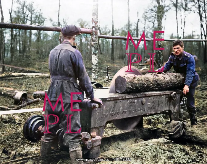 : Cutting log at new sawmill, Western Front, WW1 : Cutting log at new sawmill, Western Front, WW1