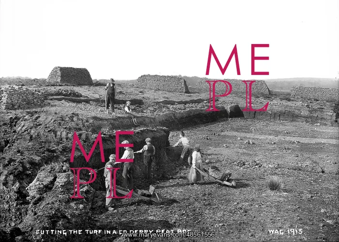 : Cutting the Turf in a Co. Derry Peat Bog : Cutting the Turf in a Co. Derry Peat Bog