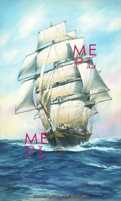 : The Cutty Sark : The Cutty Sark