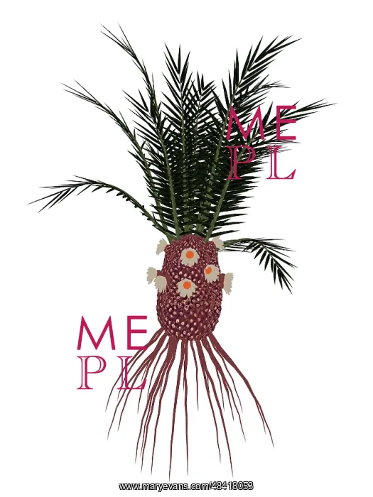 : Cycadeoidea prehistoric plant : Cycadeoidea prehistoric plant