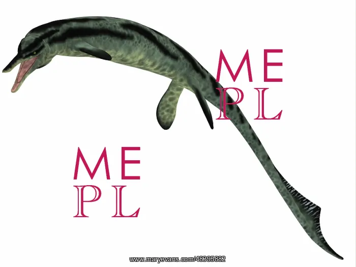 : Cymbospondylus, an early ichthyosaur from the Triassic ? : Cymbospondylus, an early ichthyosaur from the Triassic ?