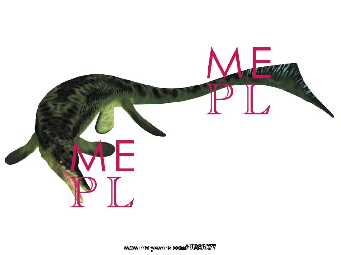 : Cymbospondylus ichthyosaur from the Triassic Period : Cymbospondylus ichthyosaur from the Triassic Period