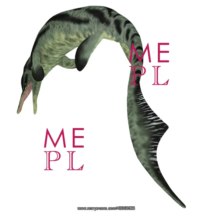 : Cymbospondylus ichthyosaur, white background : Cymbospondylus ichthyosaur, white background