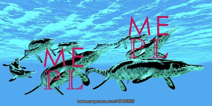 : Cymbospondylus ichthyosaurs swim together in a pod ? : Cymbospondylus ichthyosaurs swim together in a pod ?