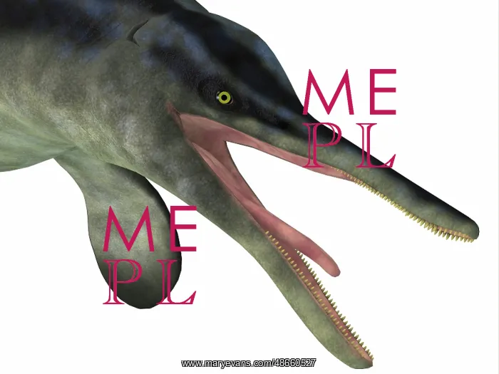 : Cymbospondylus portrait : Cymbospondylus portrait