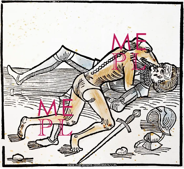 : Cynocephali attacks a knight : Cynocephali attacks a knight