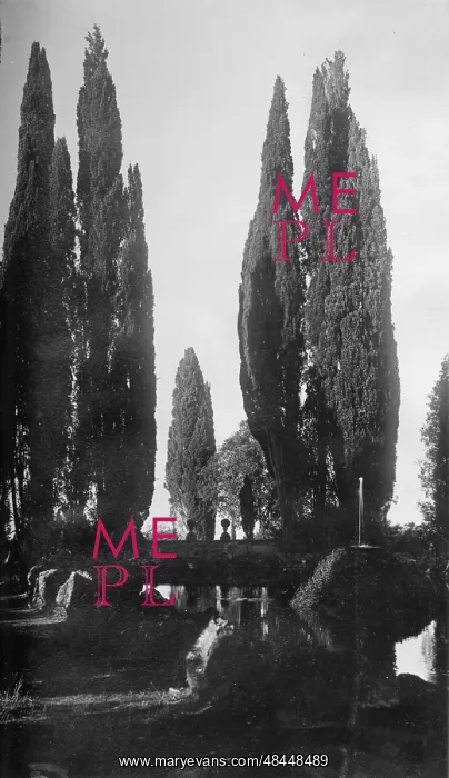  : Cypress trees in an Italian garden