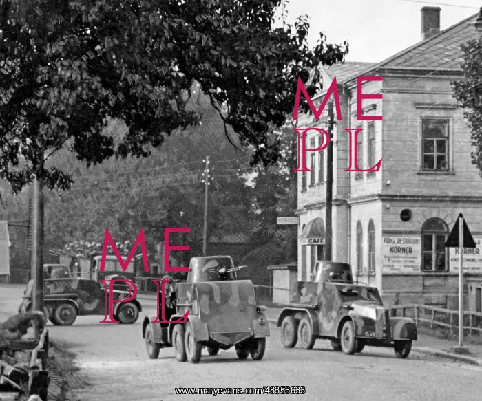 : Czech tanks in Warnsdorf, 1938 : Czech tanks in Warnsdorf, 1938