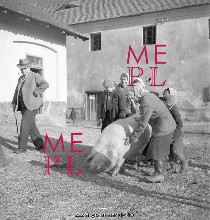 : Czechoslovakia - 1939 - pig : Czechoslovakia - 1939 - pig