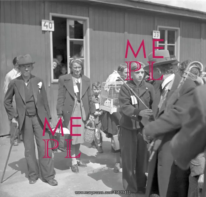 : Czechoslovakia, Liberec, 1946. Ethnic Germans : Czechoslovakia, Liberec, 1946. Ethnic Germans