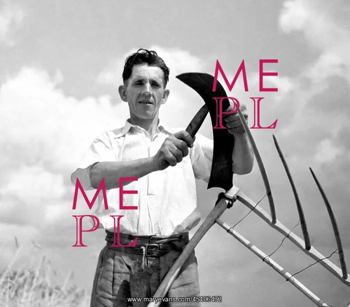: Czechoslovakia - Malovice 1950. Farmer sharpens : Czechoslovakia - Malovice 1950. Farmer sharpens