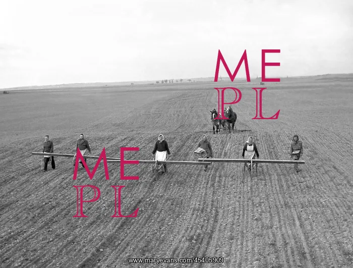 : Czechoslovakia - Melnicke Vtelno, 1950 : Czechoslovakia - Melnicke Vtelno, 1950