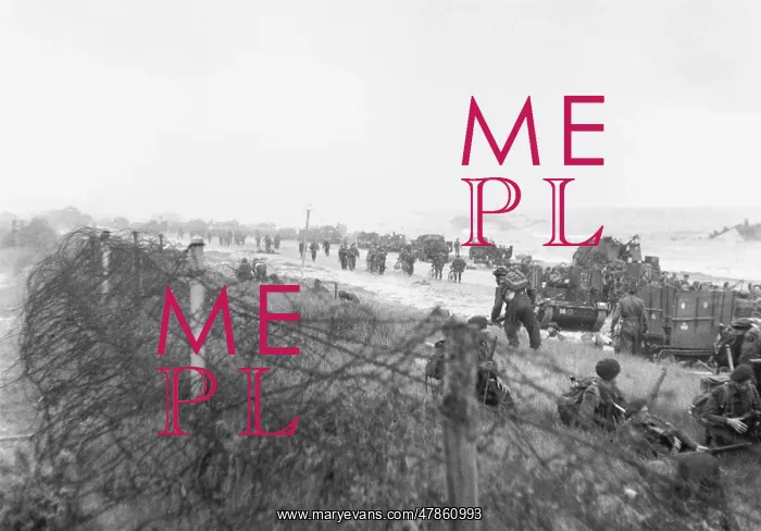 : D-Day - Overcoming wire defences : D-Day - Overcoming wire defences