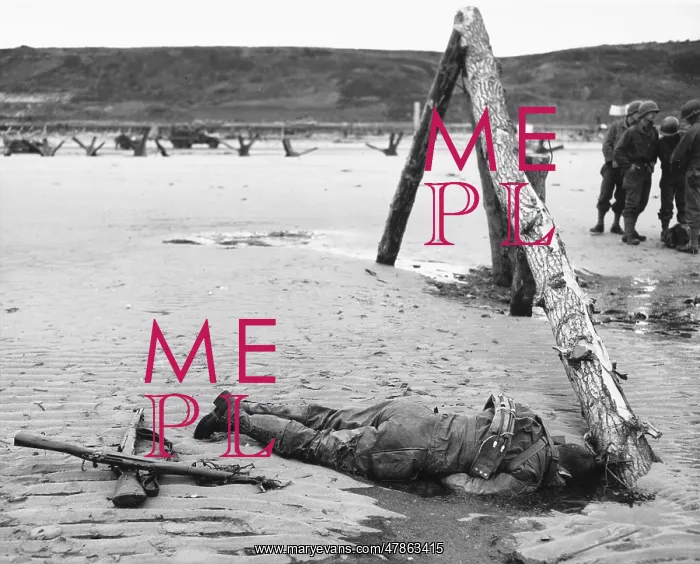 : D-Day - Victim of the Assault on the Beaches : D-Day - Victim of the Assault on the Beaches