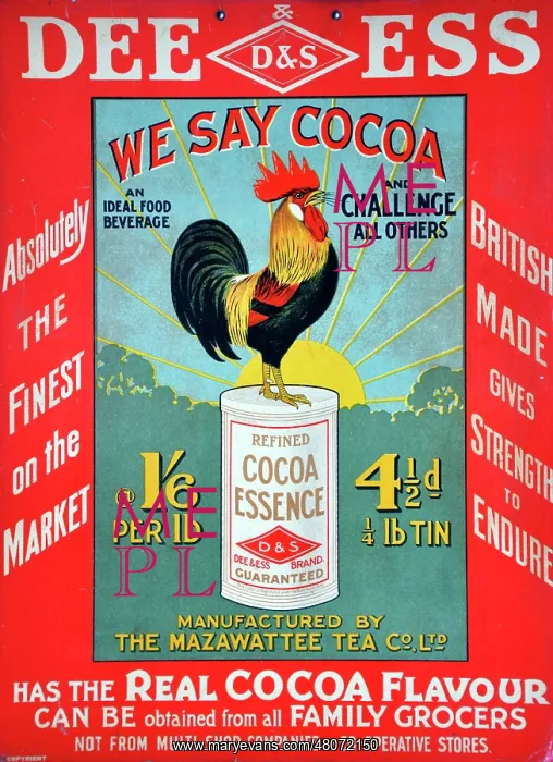 : D &s Dee Ess Cocoa Essence : D &s Dee Ess Cocoa Essence