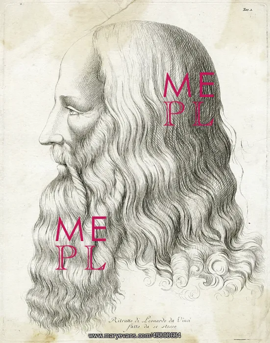  : DA VINCI / SELF / PROFILE