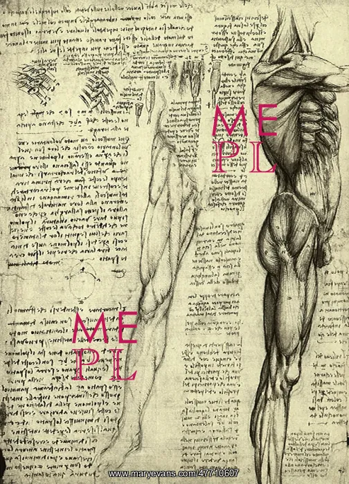  : da Vinci's Man Machine