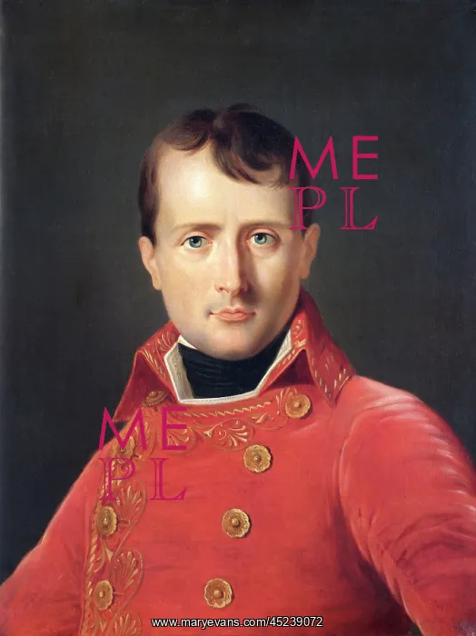 : Dabos - Napoleon Bonaparte : Dabos - Napoleon Bonaparte