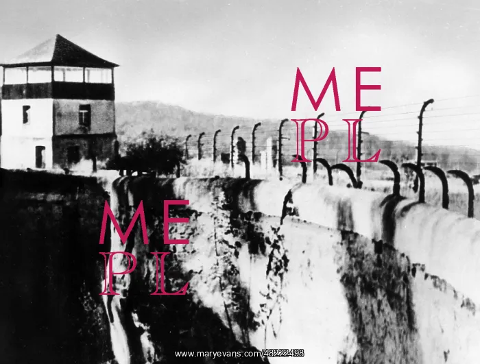: The Dachau Concentration Camp : The Dachau Concentration Camp