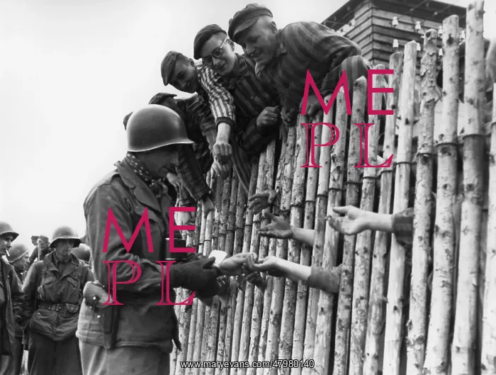 : Dachau Liberation : Dachau Liberation