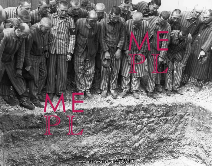 : Dachau Liberation : Dachau Liberation