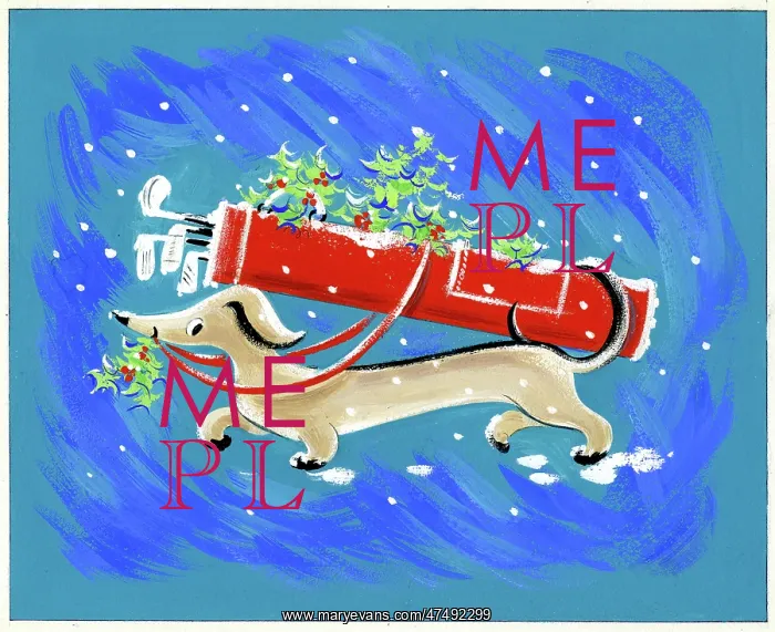 : Dachshund with golf bag and holly : Dachshund with golf bag and holly