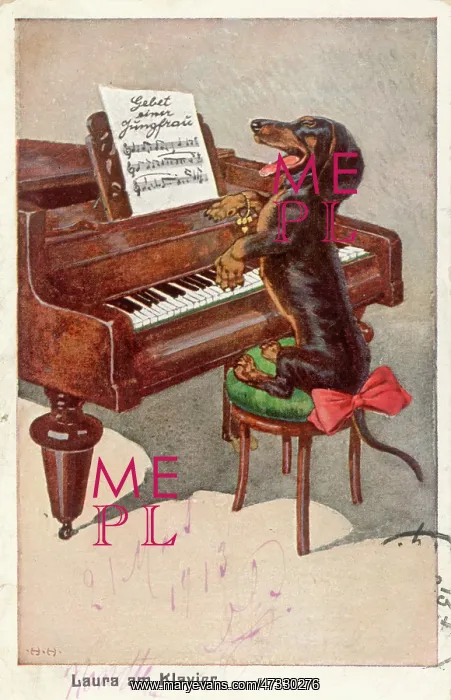 : Dachshund and Piano