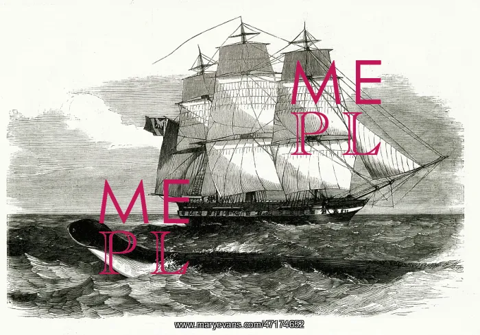 : DAEDALUS SEA SERPENT : DAEDALUS SEA SERPENT