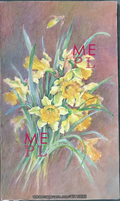  : Daffodils'. Artwork by Annie L. Pressland