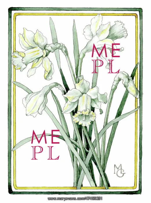  : Daffodils - design in green and yellow