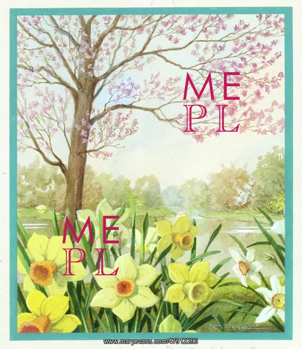 : Daffodils and almond blossom : Daffodils and almond blossom