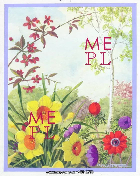 : Daffodils, anemones and crab apple : Daffodils, anemones and crab apple