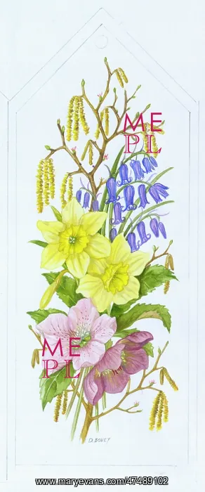  : Daffodils, Bluebells and Catkins