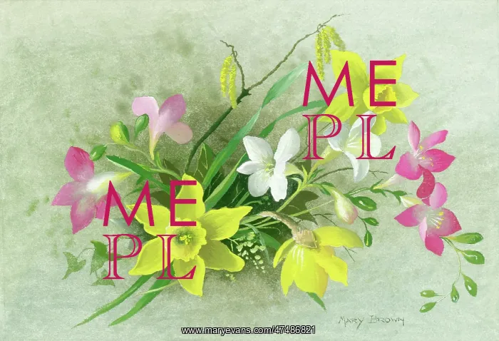  : Daffodils, freesias and catkins