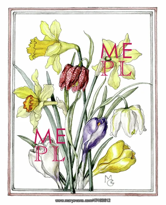  : Daffodils, fritillaries and crocuses