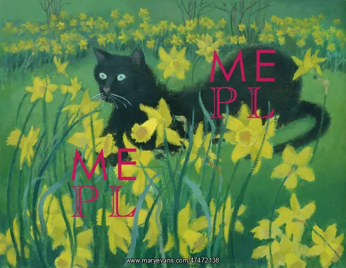 : Daffodils and Good Luck – Black Cat : Daffodils and Good Luck – Black Cat