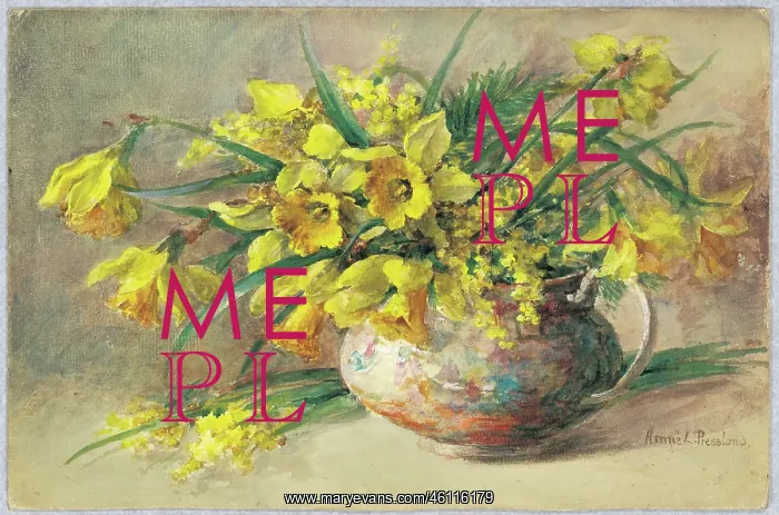 : Daffodils and Mimosa : Daffodils and Mimosa