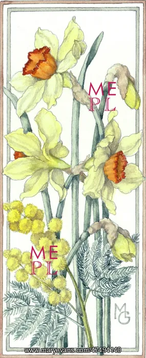  : Daffodils and Mimosa