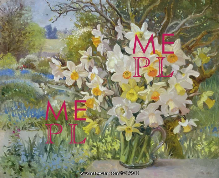  : Daffodils and mixed Narcissi in a glass vase