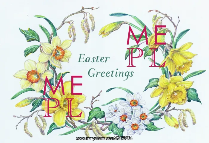  : Daffodils, Narcissi, Catkins, Ivy